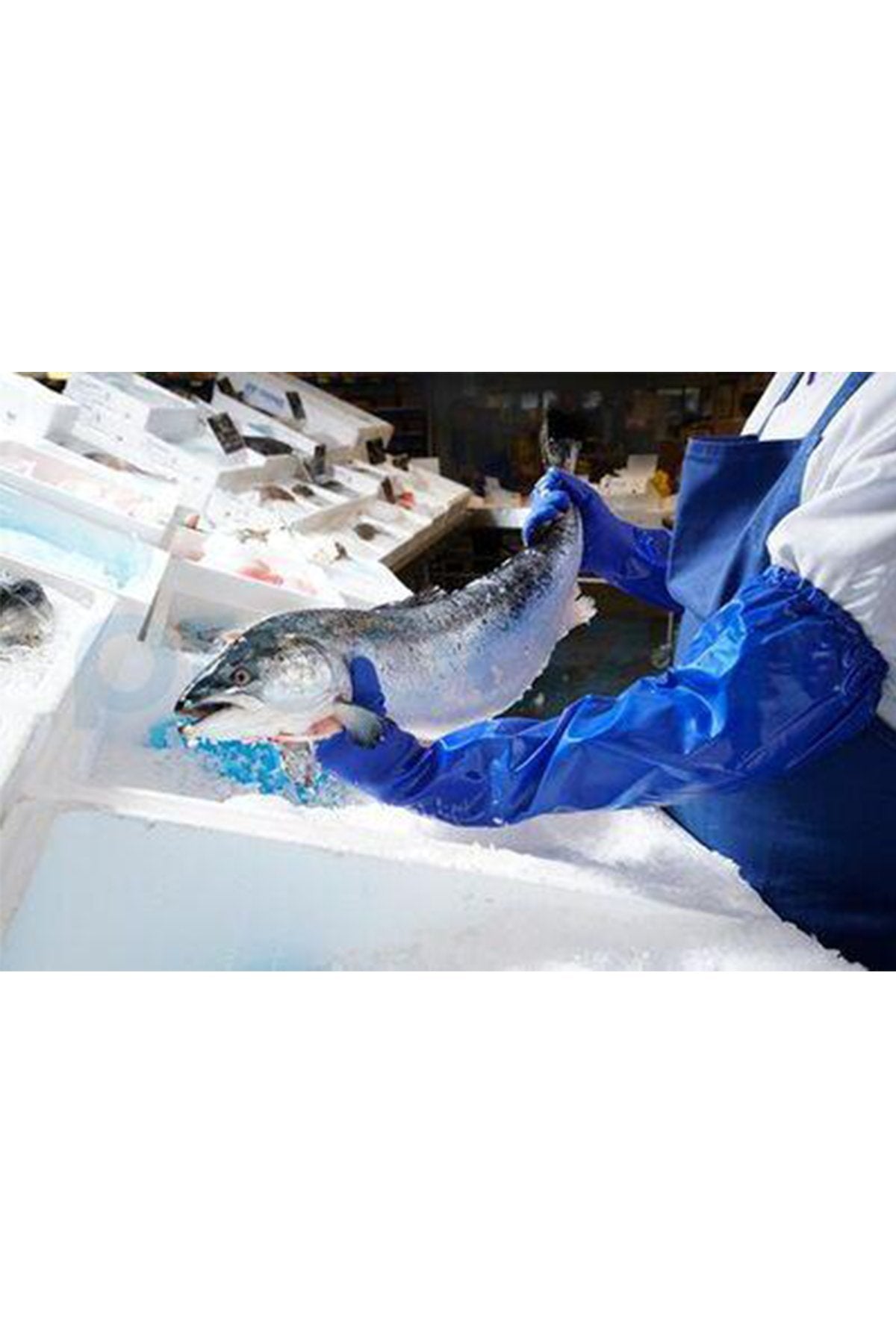 Alphatec 23-201 Gıda Uyumlu Kimyasal Dirençli İş Eldiveni Alphatec 23-201 Gıda Uyumlu Kimyasal Dirençli İş Eldiveni